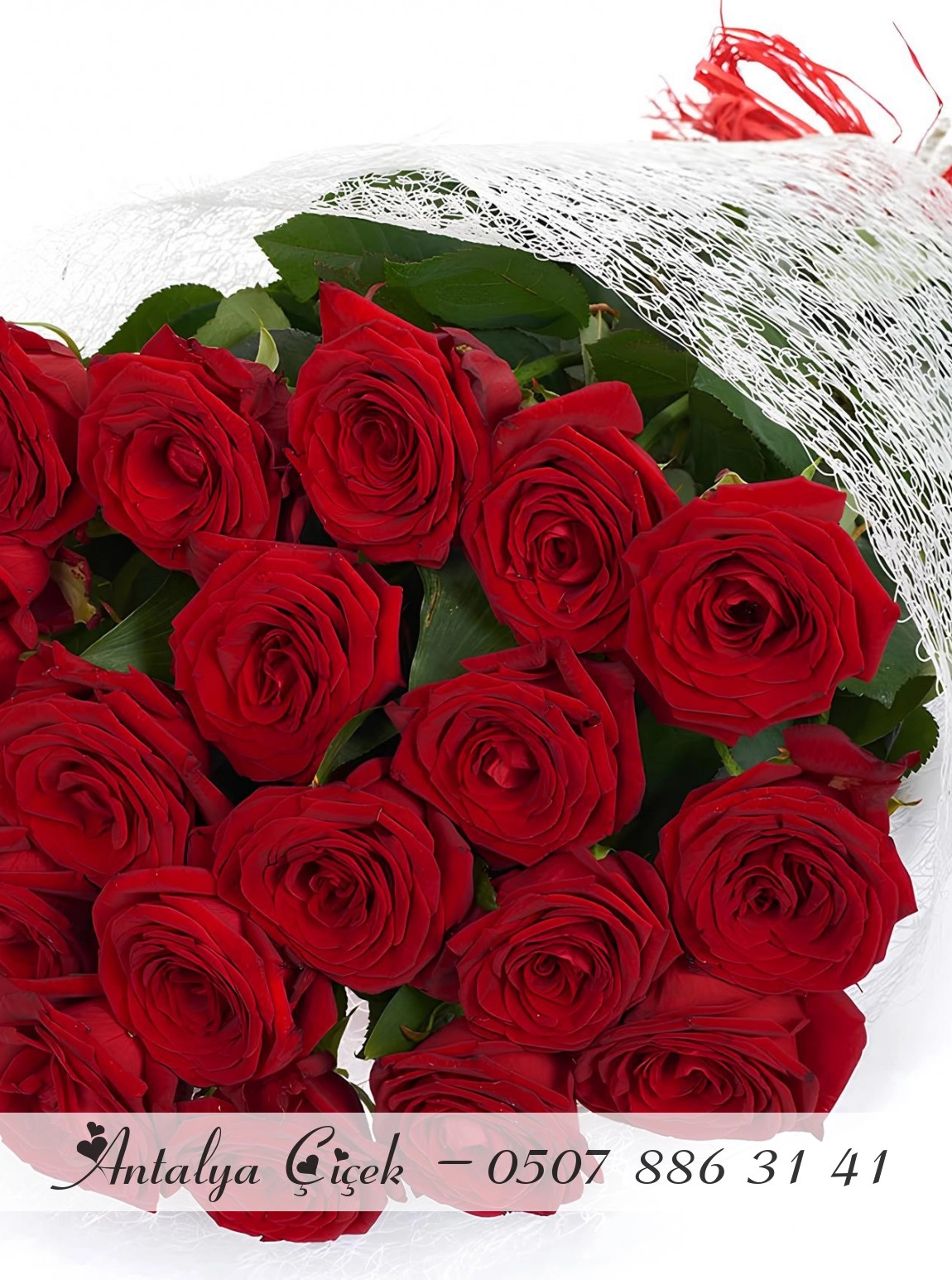 19 Adet Büyük Gül Buketi