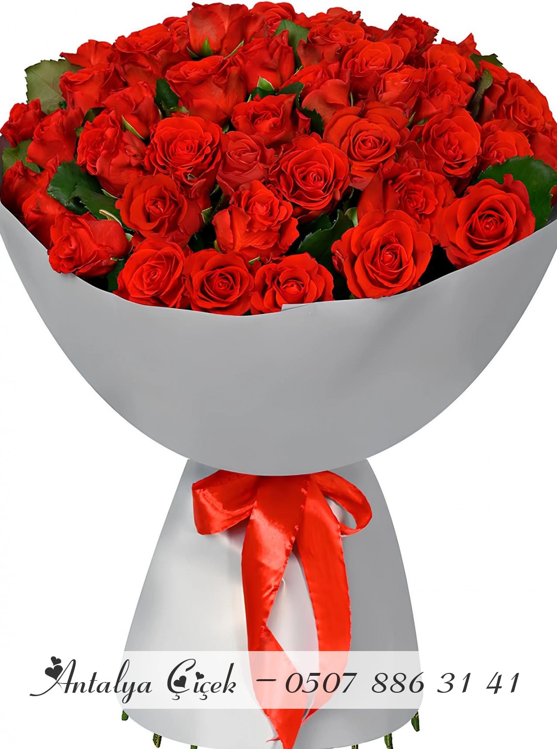 55 Tane Kırmızı Gül Buketi