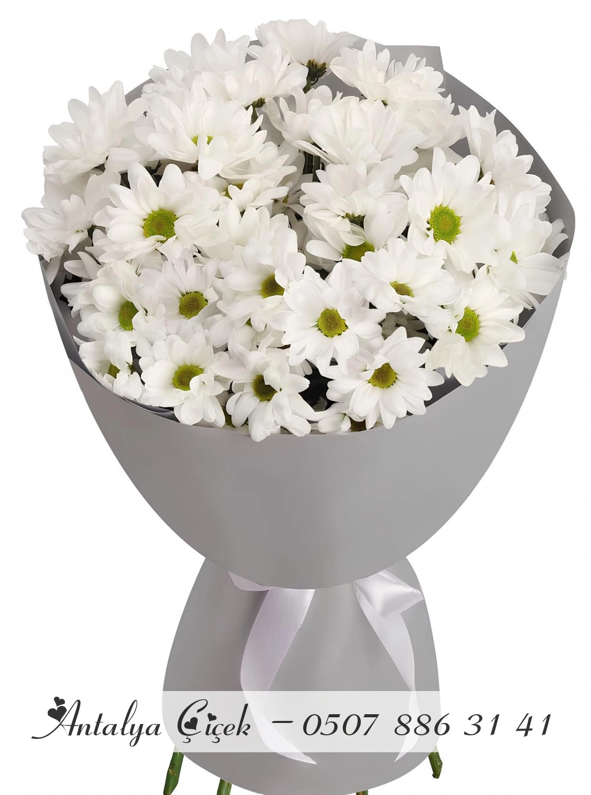 Büyük Papatya Buketi