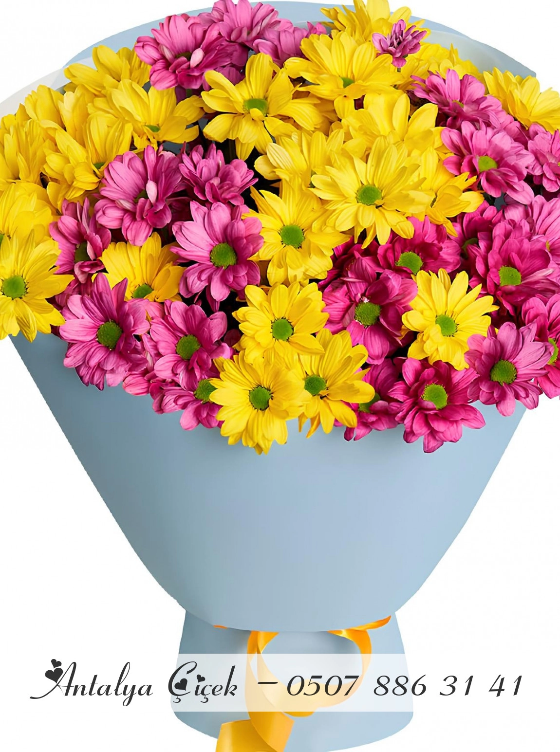 Mor ve Sarı Papatya Buketi