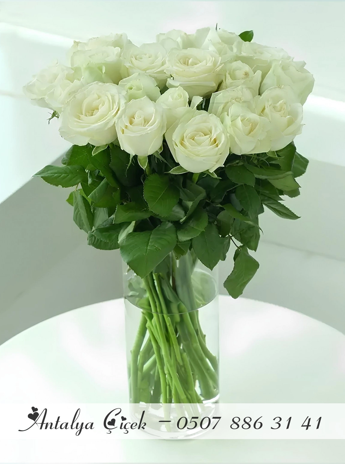 Vazoda 15 Beyaz Gül