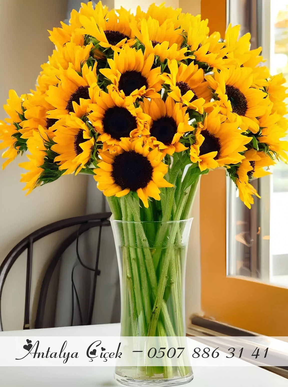 Vazoda 20 Ayçiçekleri