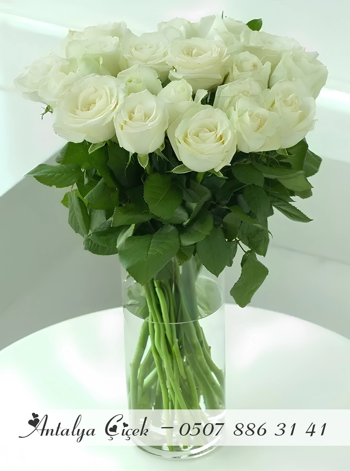 Vazoda 20 Beyaz Gül