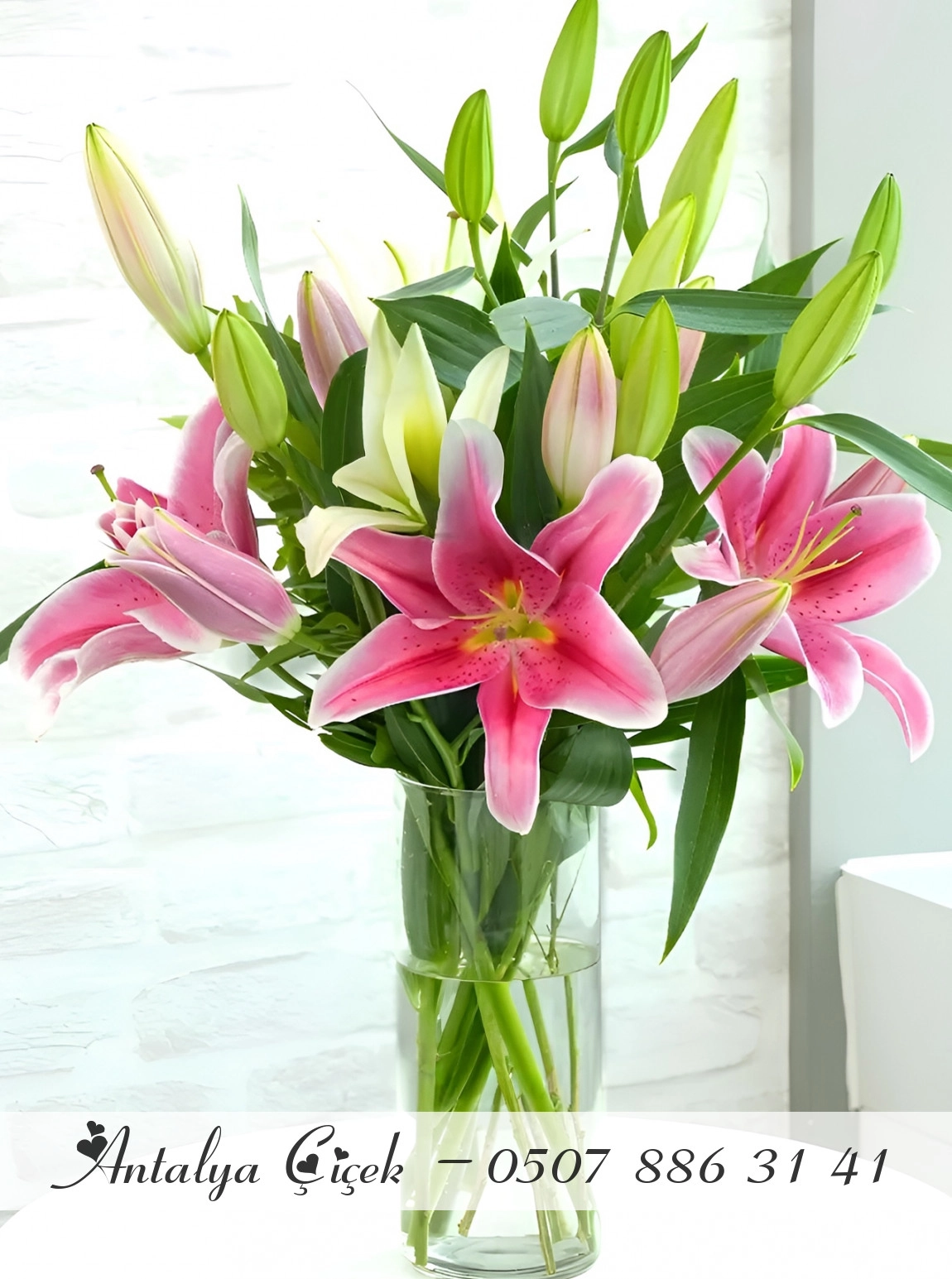 Vazoda Büyük Lilyumlar